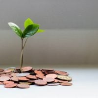 Photo NGOs, Funding, Green Innovation
