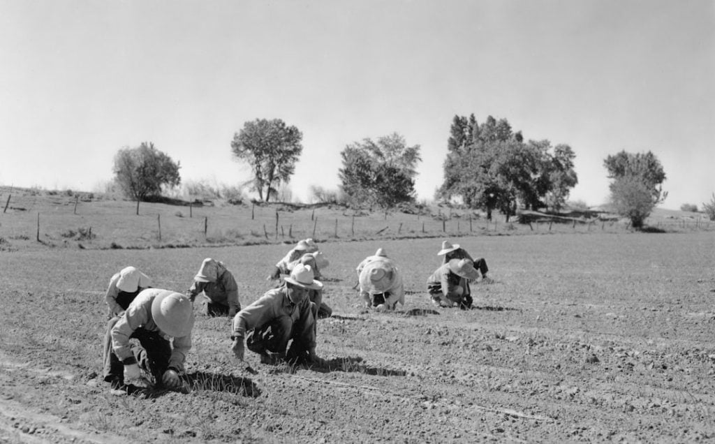 Photo Agriculture Grants