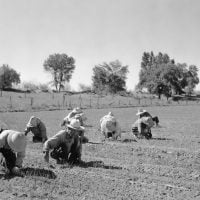 Photo Agriculture Grants
