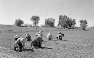Photo Agriculture Grants