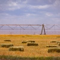 Photo Agriculture Grants