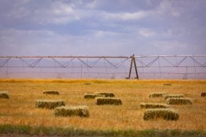 Photo Agriculture Grants