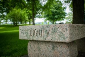 Photo NGOs, Grants, Digital Rights Innovations