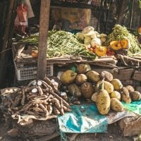 Photo Food Security Solutions