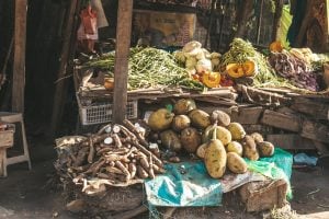 Photo Food Security Solutions