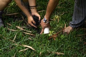 Photo Collaborations
