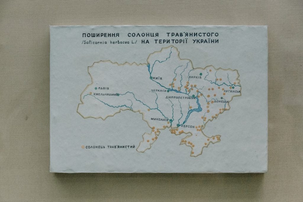 Photo Donor Mapping