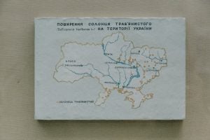 Photo Donor Mapping
