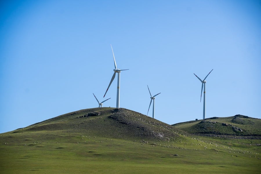 NGOs, Carbon Credit Funds, Clean Energy