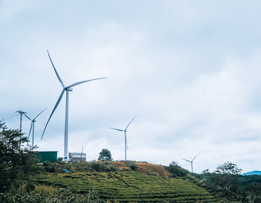 Grants for Climate and Energy Justice NGOs