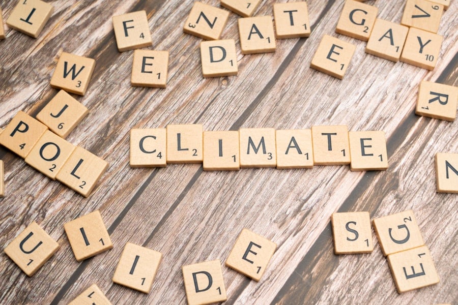 Youth-Led Climate and Energy Projects