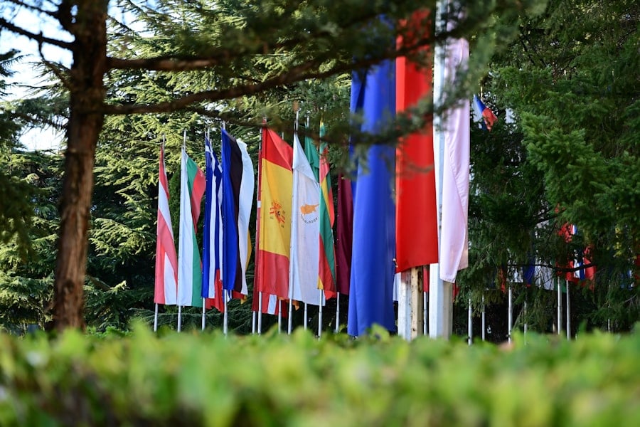 International Donor Alliances
