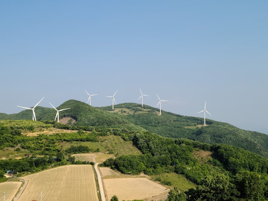 Renewable Energy Access
