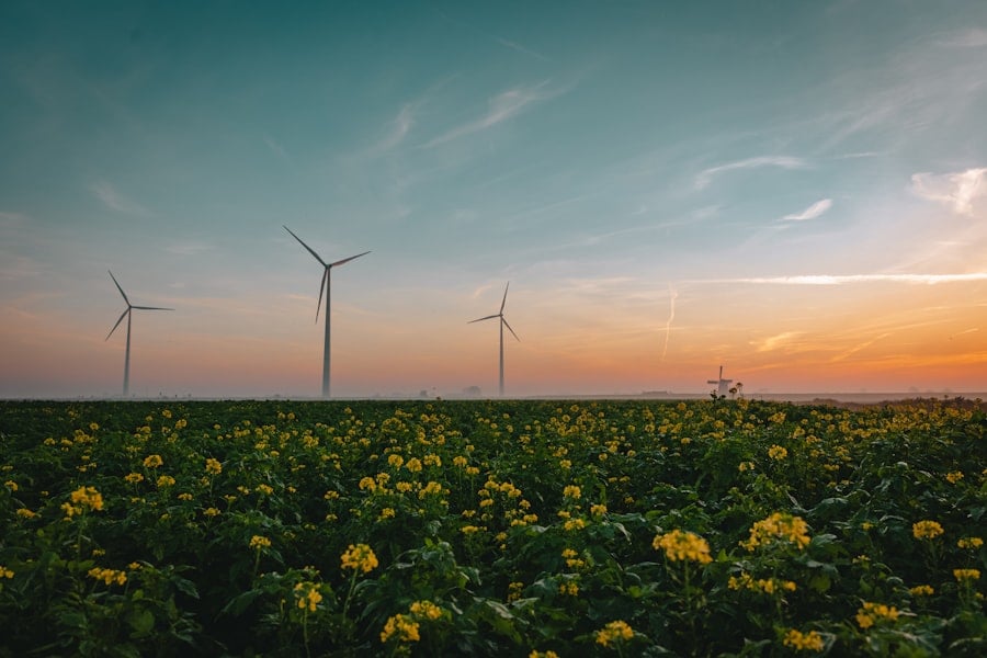 Clean Energy
