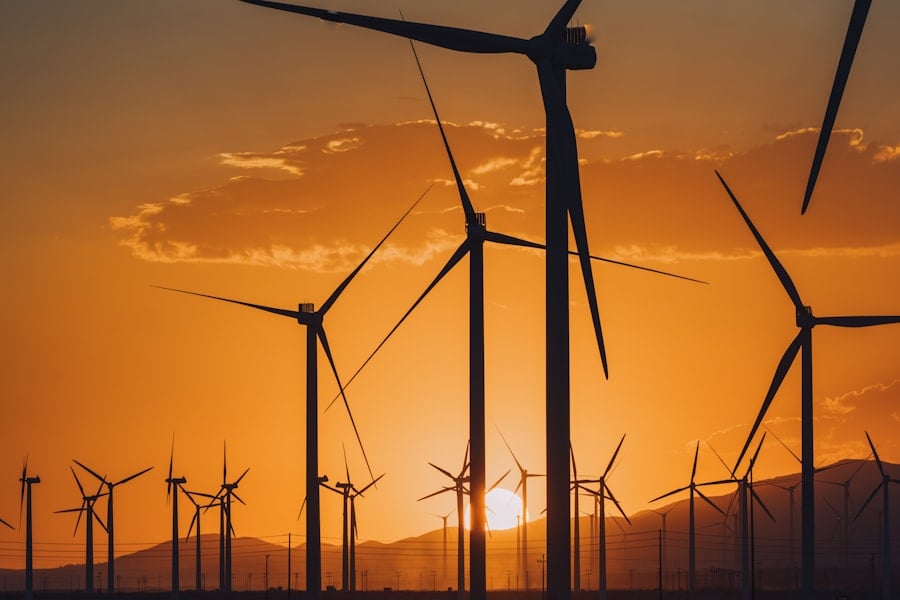 Photo NGOs, Carbon Credit Funds, Clean Energy