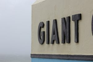 Photo Grant Proposal