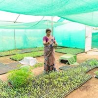 Photo Green Entrepreneurship Africa