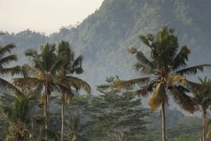 Photo Donors Supporting Energy Access in the Pacific