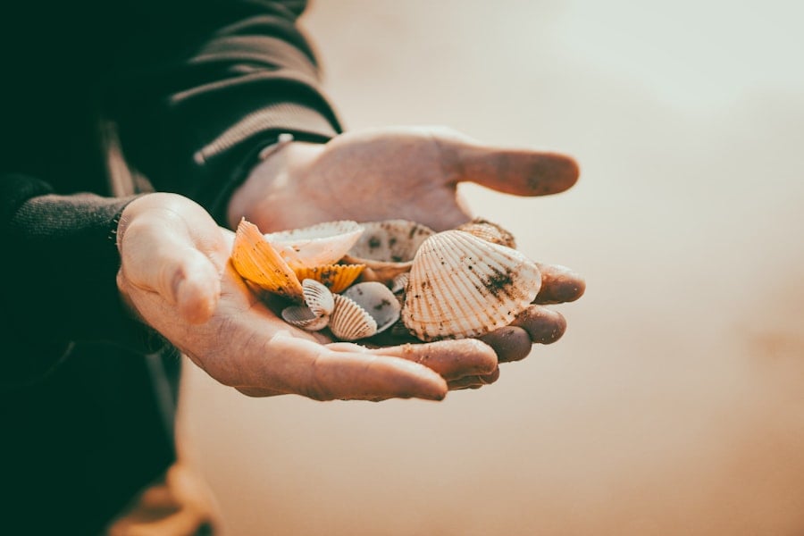 Photo Impact-Based Funding Proposals