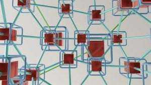 Photo Donor Networks