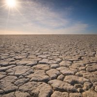 Photo Climate Grants