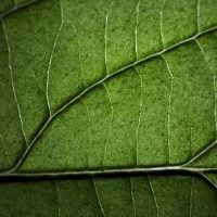 Photo Donor Agencies Funding Green Tech