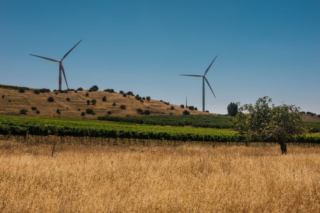 Photo Clean Energy Donors