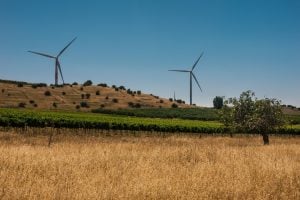 Photo Clean Energy Donors