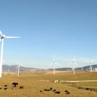 Photo Youth-Led Climate and Energy Projects