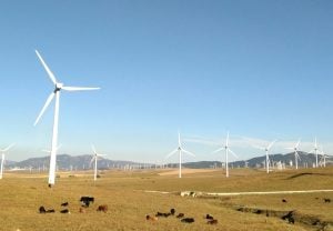 Photo Youth-Led Climate and Energy Projects
