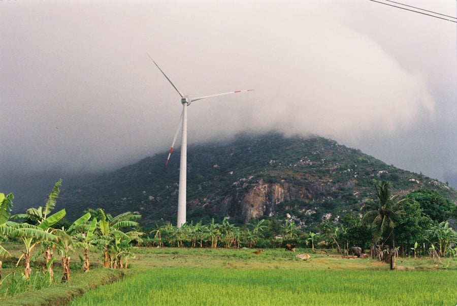 Photo Youth-Led Climate and Energy Projects