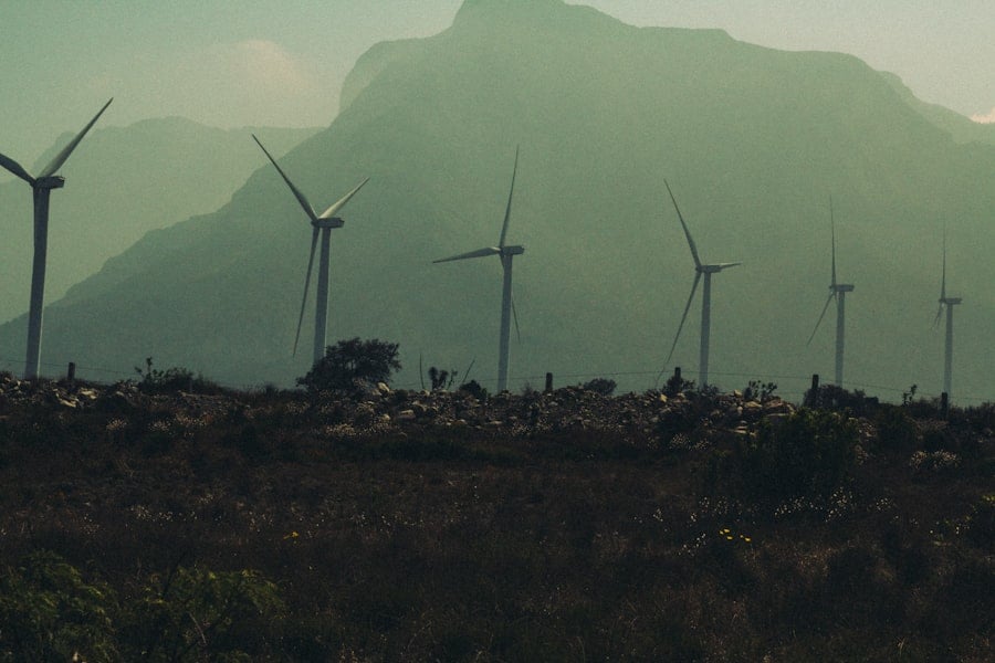 Photo Renewable Energy Startups Africa