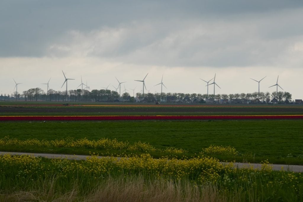 Photo Clean Energy Fields