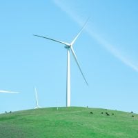 Photo Renewable Energy Research Grants