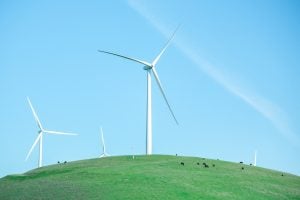 Photo Renewable Energy Research Grants