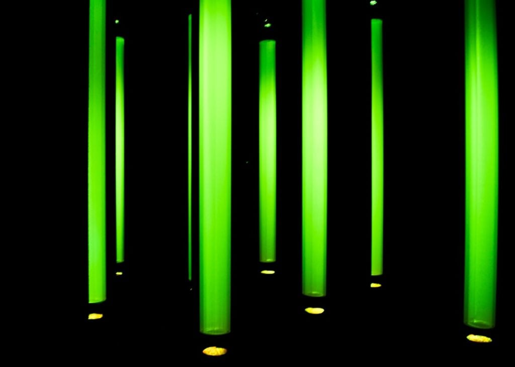 Photo Green Technology