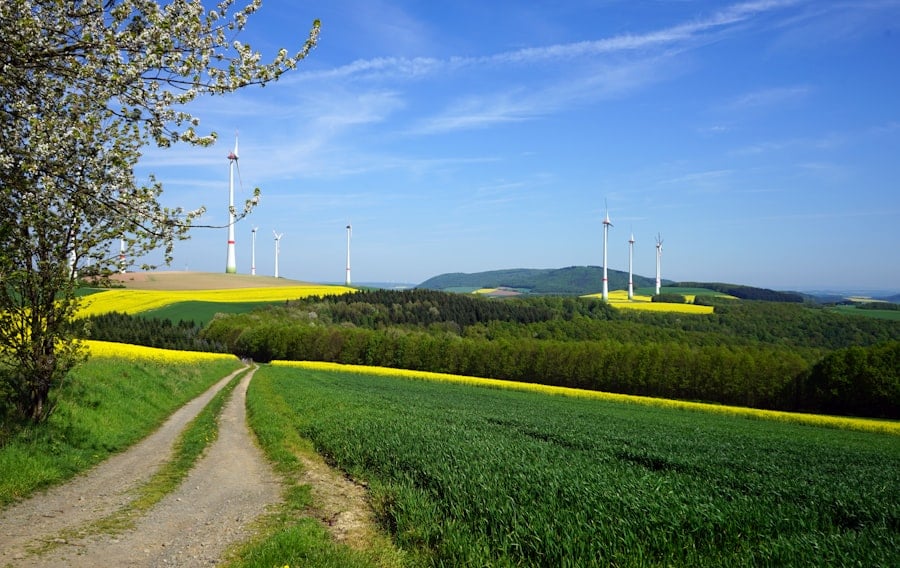 Photo Renewable Energy Financing
