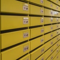 Photo Donor Databases