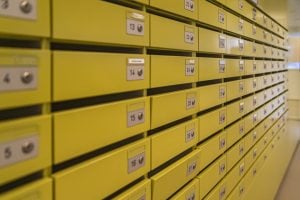 Photo Donor Databases