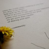 Photo Donor Commitments