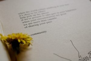 Photo Donor Commitments