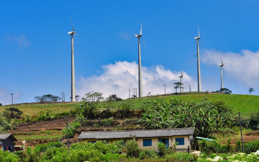 Photo Sustainable Electrification Africa