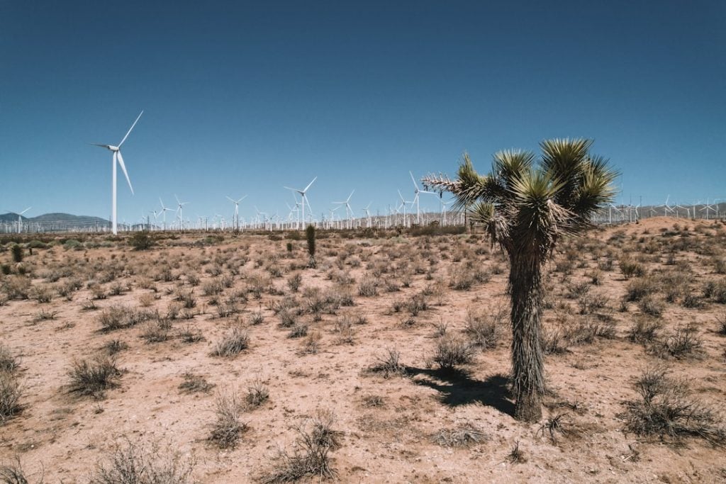 Photo Grants for Clean Energy Startups