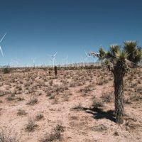 Photo Grants for Clean Energy Startups