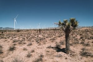 Photo Grants for Clean Energy Startups