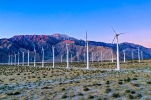 Photo Government Programs Funding Renewable Energy NGOs