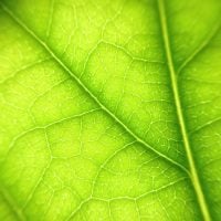 Photo Green Technology Grants