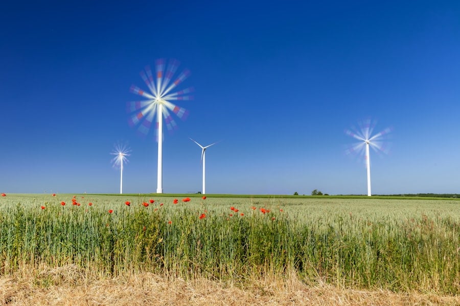 Photo Innovation Prizes in Renewable Energy