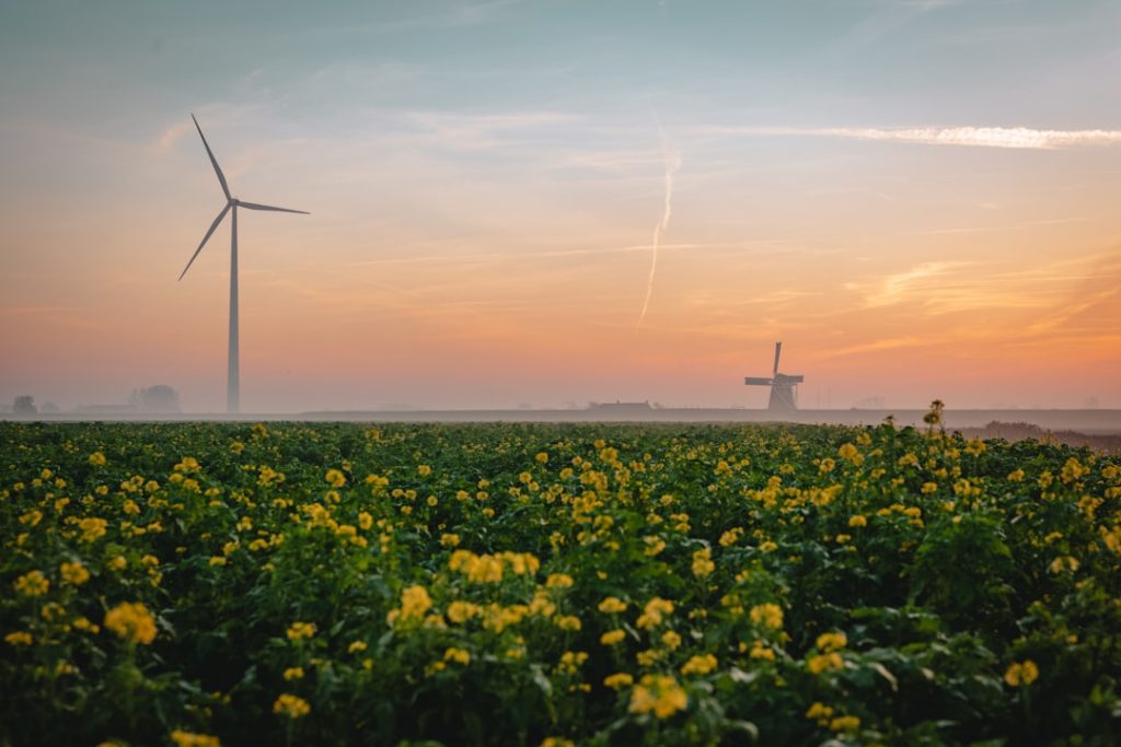 Photo Clean Power