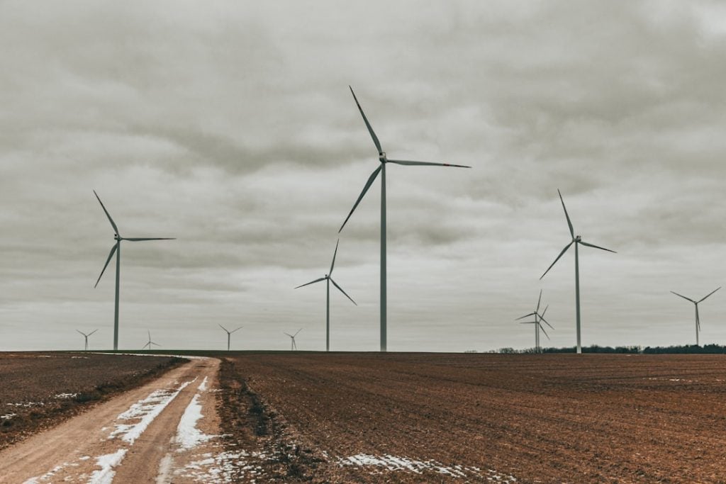 Photo Clean Energy Startups